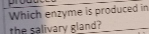 Which enzyme is produced in 
the salivary gland?