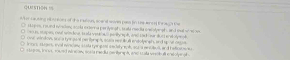 After causing vibrations of the maleus, sound waves pass (in sequence) through the
stapes, round window, scala externa perilymph, scala media endolymph, and oval window.
incus, stapes, oval window, scala vestibuli perilymph, and cochlear duct endolymph
oval window, scala tympani perilymph, scala vestibuli endolymph, and spiral organ.
incus, stapes, oval window, ścala tympani endolymph, scala vestibuli, and helicotrema.
stapes, incus, round window, scala media perilymph, and scala vestibuli endolymph.