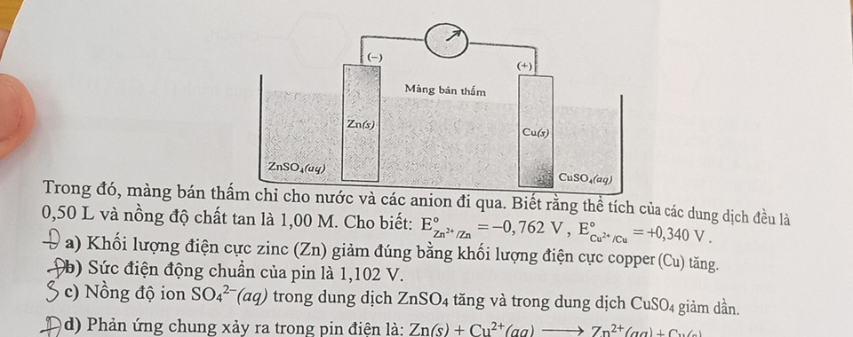 Trong đó, màng bán thcác anion đi qua. Biết rằng thể tích của các dung dịch đều là
0,50 L và nồng độ chất tan là 1,00 M. Cho biết: E_Zn^(2+)/Zn^circ =-0,762V,E_Cu^(2+)/Cu^circ =+0,340V.
a) Khối lượng điện cực zinc (Zn) giảm đúng bằng khối lượng điện cực copper (Cu) tăng.
(b) Sức điện động chuẩn của pin là 1,102 V.
c) Nồng độ ion SO_4^((2-)(aq) trong dung dịch ZnSO_4) tăng và trong dung dịch CuSO_4 giảm dần.
d) Phản ứng chung xảy ra trong pin điện là: Zn(s)+Cu^(2+)(aa)to Zn^(2+)(aa)+Cu(a)