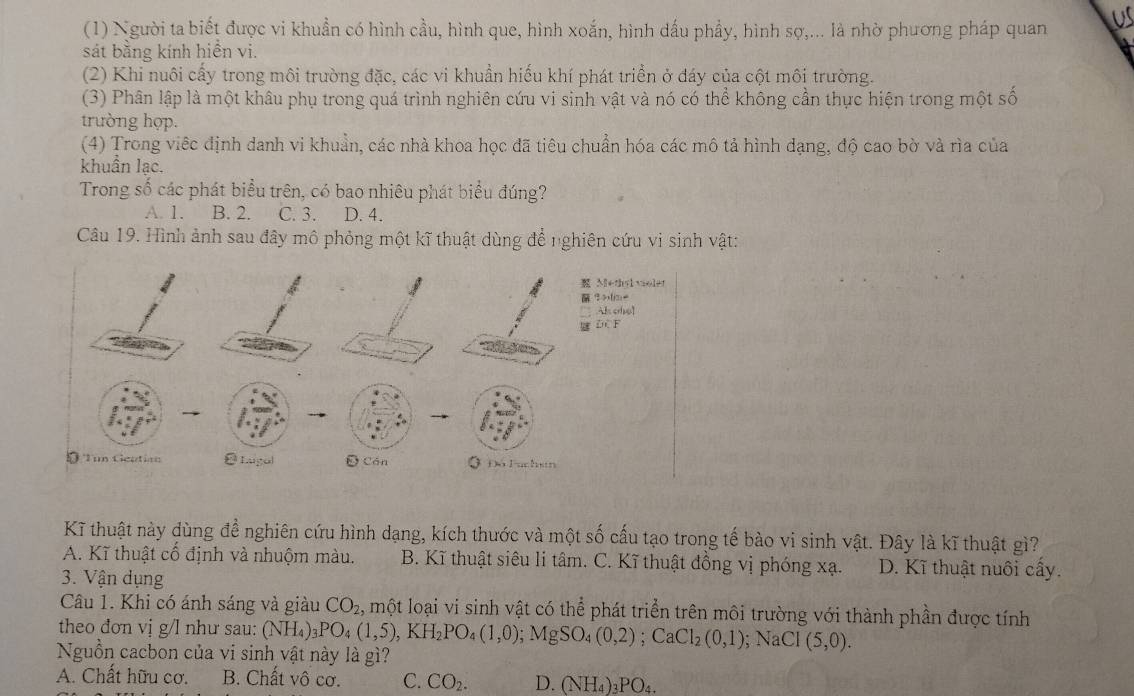 (1) Người ta biết được vi khuẩn có hình cầu, hình que, hình xoắn, hình dấu phẩy, hình sợ,... là nhờ phương pháp quan
sát bằng kính hiển vi.
(2) Khi nuôi cấy trong môi trường đặc, các vi khuẩn hiếu khí phát triển ở dáy của cột môi trường.
(3) Phân lập là một khâu phụ trong quá trình nghiên cứu vi sinh vật và nó có thể không cần thực hiện trong một số
trường hợp.
(4) Trong viếc định danh vi khuẩn, các nhà khoa học đã tiêu chuẩn hóa các mô tả hình dạng, độ cao bờ và rìa của
khuẩn lạc.
Trong số các phát biểu trên, có bao nhiêu phát biểu đúng?
A. 1. B. 2. C. 3. D. 4.
Câu 19. Hình ảnh sau đây mô phỏng một kĩ thuật dùng để nghiên cứu vi sinh vật:
Kĩ thuật này dùng đề nghiên cứu hình dạng, kích thước và một số cấu tạo trong tế bào vi sinh vật. Đây là kĩ thuật gì?
A. Kĩ thuật cổ định và nhuộm màu.  B. Kĩ thuật siêu li tâm. C. Kĩ thuật đồng vị phóng xạ. D. Kĩ thuật nuôi cầy.
3. Vận dụng
Câu 1. Khi có ánh sáng và giàu CO_2, , một loại vi sinh vật có thể phát triển trên môi trường với thành phần được tính
theo đơn vị g/l như sau: (NH_4)_3PO_4(1,5),KH_2PO_4(1,0);MgSO_4(0,2);CaCl_2(0,1);NaCI(5,0).
Nguồn cacbon của vi sinh vật này là gì?
A. Chất hữu cơ. B. Chất vô cơ. C. CO_2. D. (NH_4)_3PO_4.