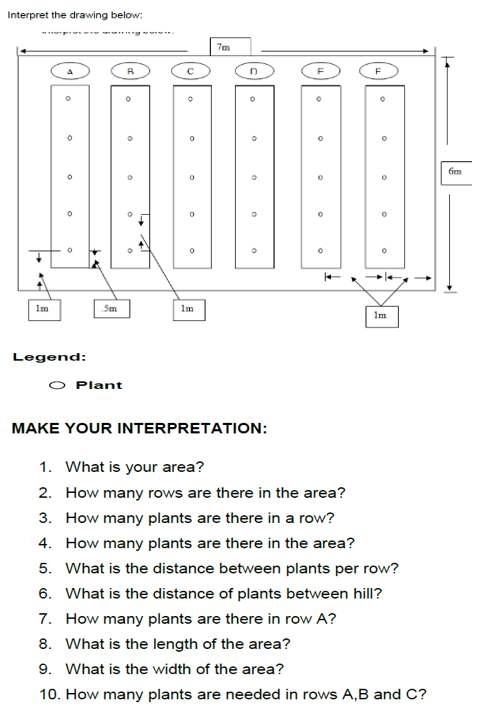 Interpret the drawing below: 
Legend: 
Plant 
MAKE YOUR INTERPRETATION: 
1. What is your area? 
2. How many rows are there in the area? 
3. How many plants are there in a row? 
4. How many plants are there in the area? 
5. What is the distance between plants per row? 
6. What is the distance of plants between hill? 
7. How many plants are there in row A? 
8. What is the length of the area? 
9. What is the width of the area? 
10. How many plants are needed in rows A, B and C?