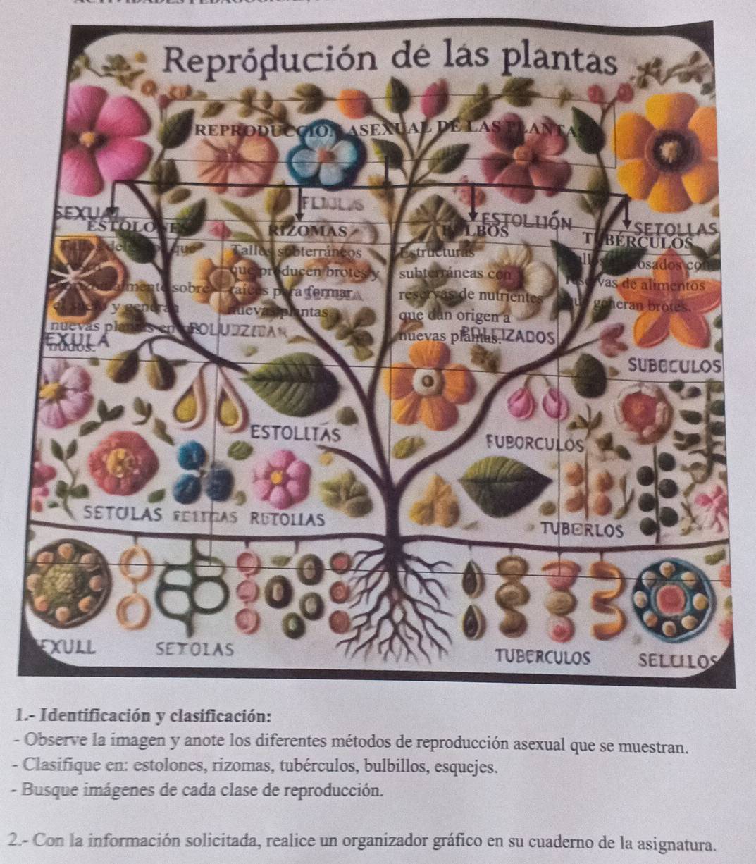 1.- 
- Observe la imagen y anote los diferentes métodos de reproducción asexual que se muestran. 
- Clasifique en: estolones, rizomas, tubérculos, bulbillos, esquejes. 
- Busque imágenes de cada clase de reproducción. 
2.- Con la información solicitada, realice un organizador gráfico en su cuaderno de la asignatura.