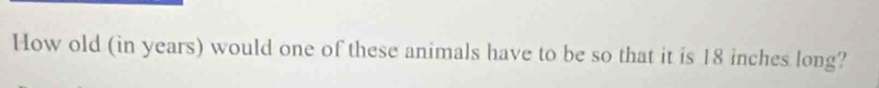 How old (in years) would one of these animals have to be so that it is 18 inches long?