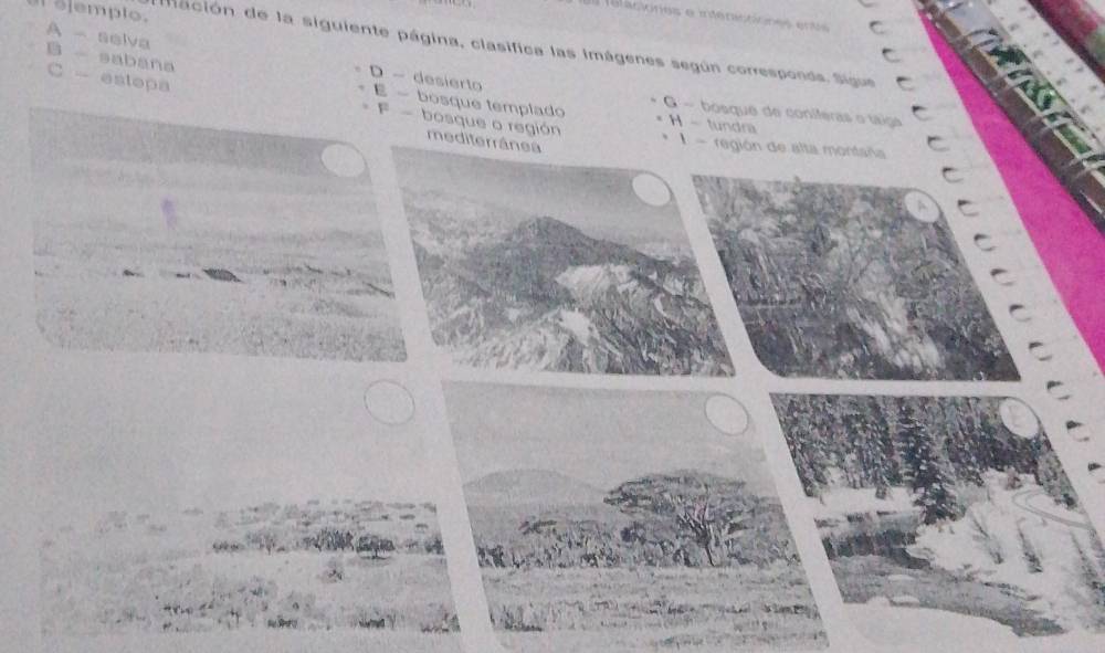 olempio.
a laciones e intenictóones ent C
B - saban。 iación de la siguiente página, clasifica las imágenes según corresponds. Sigue
A - selva D - desierto E - bosque templado
C - estepa F bosque o región mediterrânea
G - bósque de coníferas o táiça
H - tundra
región de alta montara