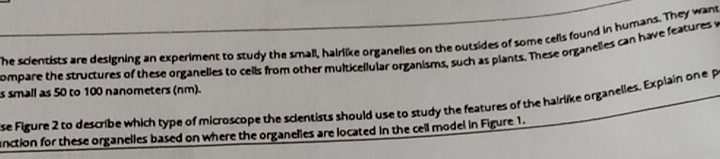 Solved: he scientists are designing an experiment to study the small ...