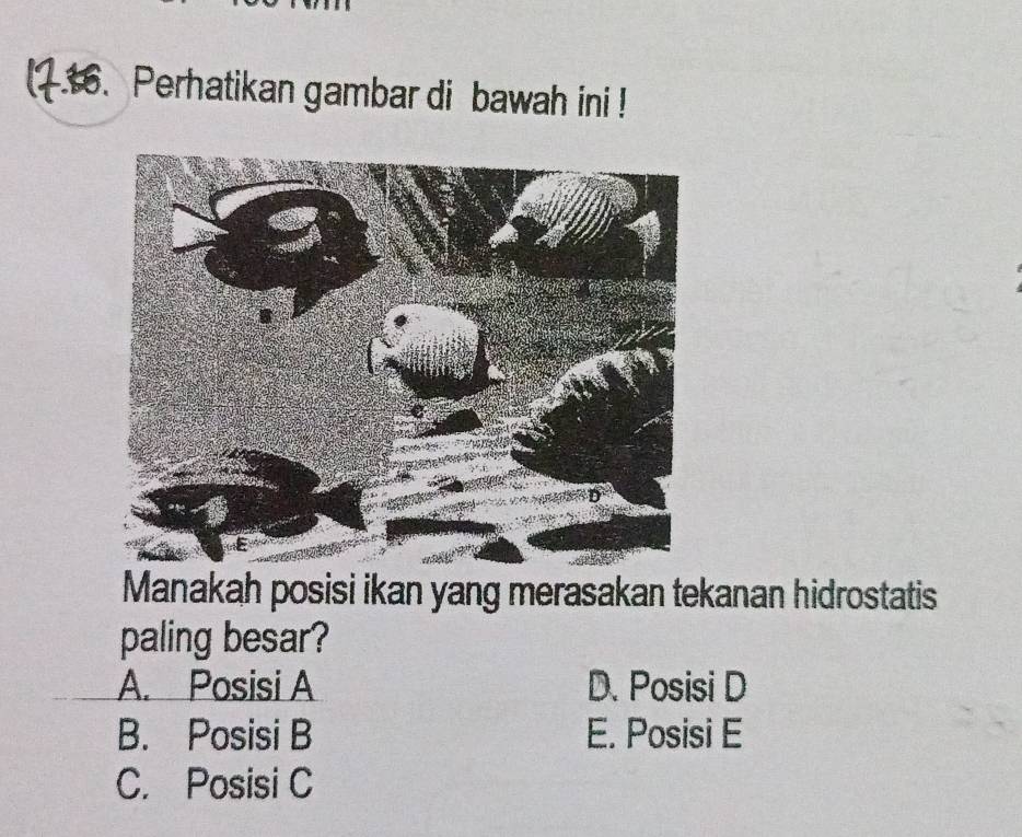 Perhatikan gambar di bawah ini !
Manakah posisi ikan yang merasakan tekanan hidrostatis
paling besar?
A. Posisi A D. Posisi D
B. Posisi B E. Posisi E
C. Posisi C