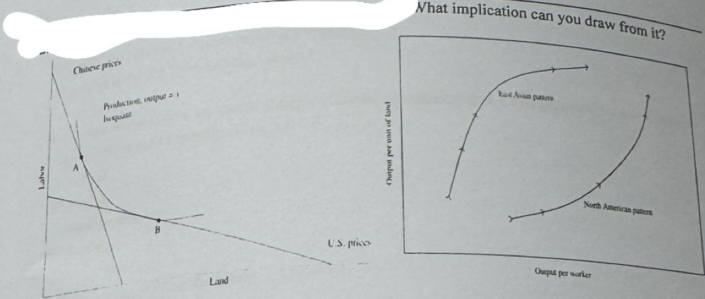 What implication can you draw from it? 
Qusput per worker