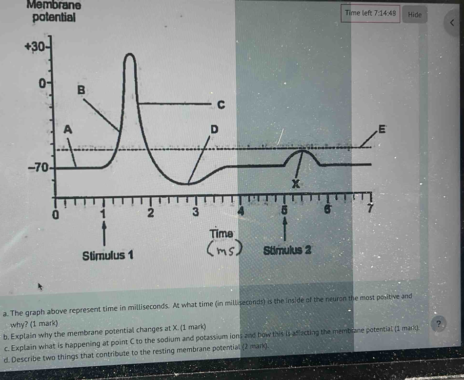 Membrane Time left 7:14:48 Hide 
potential 
E
x
4 5 Ở 7
Stimulus 2 
a. The graph above represent time in milliseconds. At what time (in milliseconds) is the inside of the neuron the most positive and 
why? (1 mark) 
b. Explain why the membrane potential changes at X. (1 mark) 
c. Explain what is happening at point C to the sodium and potassium ions and how this is affecting the membrane potential (1 mark). ? 
d. Describe two things that contribute to the resting membrane potential (2 mark).