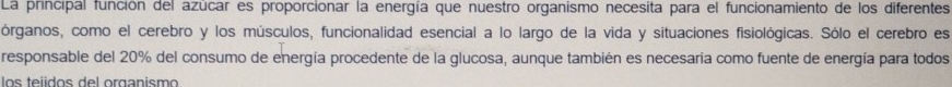 La principal función del azúcar es proporcionar la energía que nuestro organismo necesita para el funcionamiento de los diferentes 
órganos, como el cerebro y los músculos, funcionalidad esencial a lo largo de la vida y situaciones fisiológicas. Sólo el cerebro es 
responsable del 20% del consumo de energía procedente de la glucosa, aunque también es necesaria como fuente de energía para todos 
los teídos del organismo