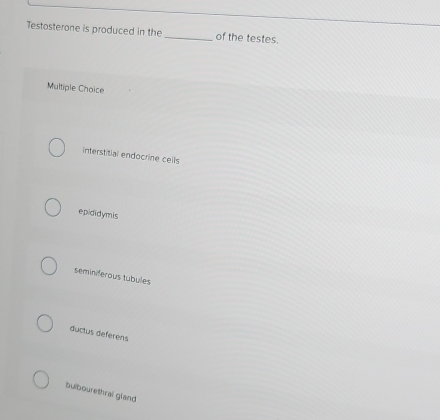 Testosterone is produced in the_ of the testes.
Multiple Choice
interstitial endocrine cells
epididymis
seminiferous tubules
ductus deferens
bulbourethral gland