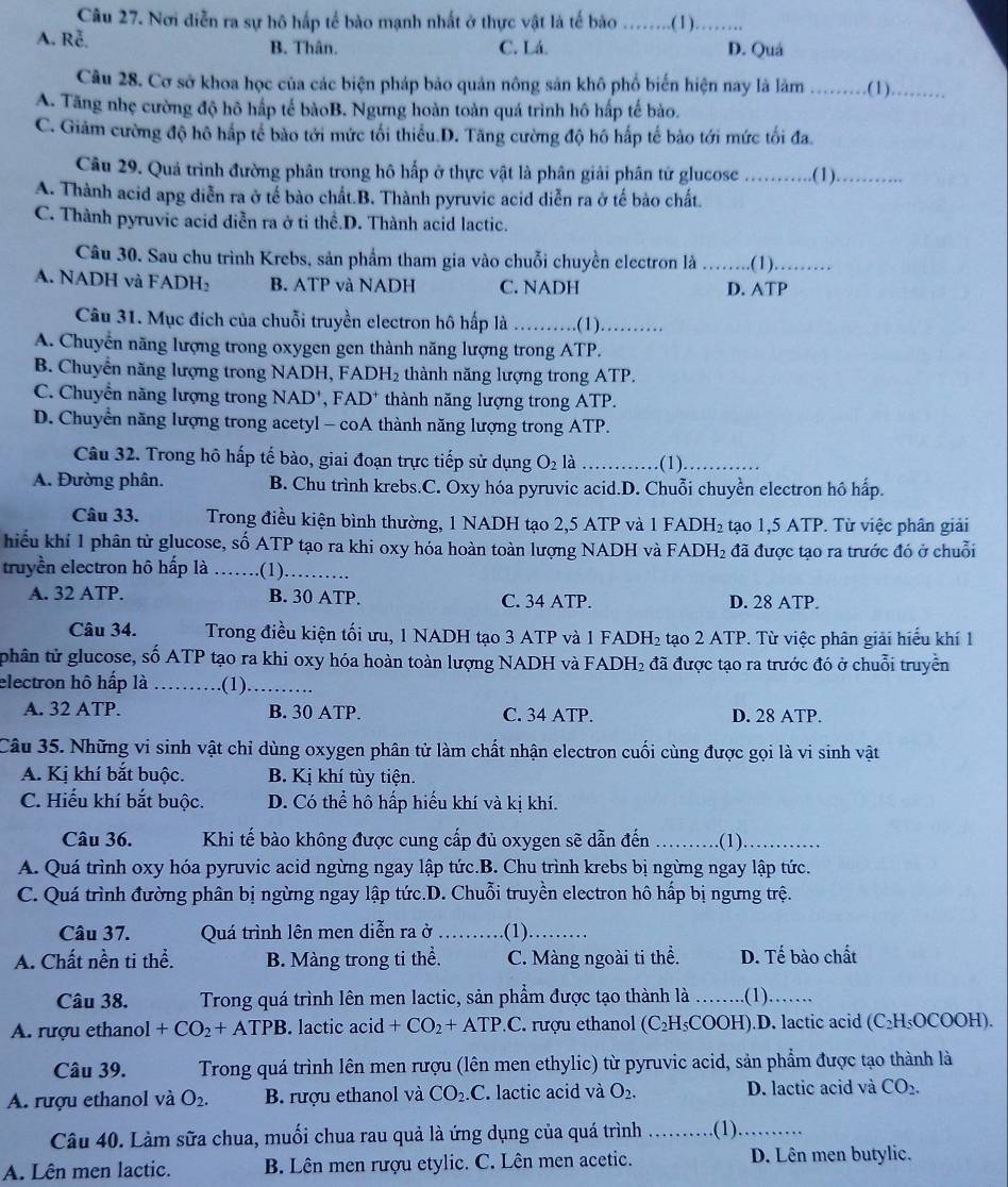 Nơi diễn ra sự hô hấp tế bào mạnh nhất ở thực vật là tế bào_
….(1)_
A. Rễ. B. Thân. C. Lá. D. Quả
Câu 28. Cơ sở khoa học của các biện pháp bảo quản nông sản khô phố biến hiện nay là làm _(1)_
A. Tăng nhẹ cường độ hô hấp tế bàoB. Ngưng hoàn toàn quá trình hô hấp tế bào.
C. Giảm cường độ hô hấp tế bào tới mức tối thiểu.D. Tăng cường độ hô hấp tế bào tới mức tối đa.
Câu 29. Quá trình đường phân trong hô hấp ở thực vật là phân giải phân tứ glucose _.(1)_
A. Thành acid apg diễn ra ở tế bào chất.B. Thành pyruvic acid diễn ra ở tế bảo chất.
C. Thành pyruvic acid diễn ra ở ti thể.D. Thành acid lactic.
Câu 30. Sau chu trình Krebs, sản phẩm tham gia vào chuỗi chuyền electron là _(1)_
A. NADH và FADH₂ B. ATP và NADH C. NADH D. ATP
Câu 31. Mục đích của chuỗi truyền electron hô hấp là _.(1)_
A. Chuyến năng lượng trong oxygen gen thành năng lượng trong ATP.
B. Chuyển năng lượng trong NADH, FADH2 1 thành năng lượng trong ATP.
C. Chuyển năng lượng trong NAD' , FAD* thành năng lượng trong ATP.
D. Chuyển năng lượng trong acetyl - coA thành năng lượng trong ATP.
Câu 32. Trong hô hấp tế bào, giai đoạn trực tiếp sử dụng O_2 là _(1)_
A. Đường phân. B. Chu trình krebs.C. Oxy hóa pyruvic acid.D. Chuỗi chuyển electron hô hấp.
Câu 33.  Trong điều kiện bình thường, 1 NADH tạo 2,5 ATP và 1 FADH₂ tạo 1,5 ATP. Từ việc phân giải
hiếu khí 1 phân tử glucose, số ATP tạo ra khi oxy hóa hoàn toàn lượng NADH và FADH₂ đã được tạo ra trước đó ở chuỗi
truyền electron hô hấp là _.(1)_
A. 32 ATP. B. 30 ATP. C. 34 ATP. D. 28 ATP.
Câu 34.  Trong điều kiện tối ưu, 1 NADH tạo 3 ATP và 1 FADH₂ 1 tạo 2 ATP. Từ việc phân giải hiểu khí 1
phân tử glucose, số ATP tạo ra khi oxy hóa hoàn toàn lượng NADH và FADH₂ đã được tạo ra trước đó ở chuỗi truyền
electron hô hấp là _(1)_
A. 32 ATP. B. 30 ATP. C. 34 ATP. D. 28 ATP.
Câu 35. Những vi sinh vật chỉ dùng oxygen phân tử làm chất nhận electron cuối cùng được gọi là vi sinh vật
A. Kị khí bắt buộc. B. Kị khí tùy tiện.
C. Hiếu khí bắt buộc. D. Có thể hô hấp hiếu khí và kị khí.
Câu 36. Khi tế bào không được cung cấp đủ oxygen sẽ dẫn đến_ .(1)_
A. Quá trình oxy hóa pyruvic acid ngừng ngay lập tức.B. Chu trình krebs bị ngừng ngay lập tức.
C. Quá trình đường phân bị ngừng ngay lập tức.D. Chuỗi truyền electron hô hấp bị ngưng trệ.
Câu 37. Quá trình lên men diễn ra ở _(1)_
A. Chất nền ti thể. B. Màng trong ti thể. C. Màng ngoài ti thể. D. Tế bào chất
Câu 38.  Trong quá trình lên men lactic, sản phẩm được tạo thành là _(1)._
A. rượu ethanol +CO_2+ATPB. lactic acid +CO_2+ATP.C rượu ethanol (C_2H_5 COOH).D. lactic acid (C₂H₅OCOOH).
Câu 39. Trong quá trình lên men rượu (lên men ethylic) từ pyruvic acid, sản phẩm được tạo thành là
A. rượu ethanol và O_2. B. rượu ethanol và CO_2.C * lactic acid và O_2. D. lactic acid và CO_2.
Câu 40. Làm sữa chua, muối chua rau quả là ứng dụng của quá trình _.(1)._
A. Lên men lactic. B. Lên men rượu etylic. C. Lên men acetic. D. Lên men butylic.