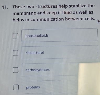 These two structures help stabilize the
membrane and keep it fluid as well as
helps in communication between cells.
phospholipids
cholesterol
carbohydrates
proteins