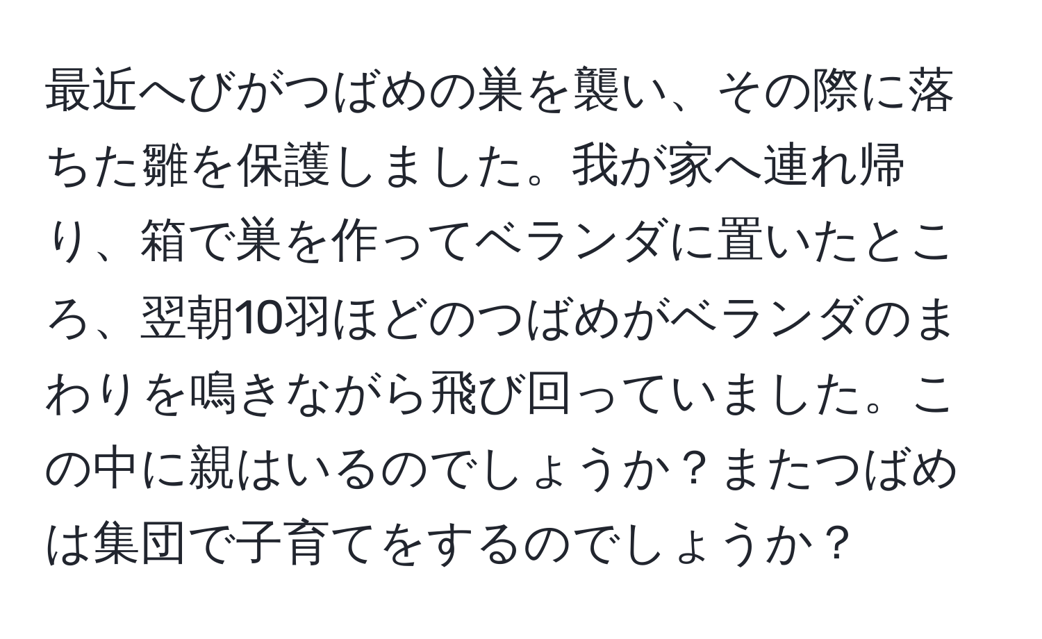 最近へびがつばめの巣を襲い、その際に落ちた雛を保護しました。我が家へ連れ帰り、箱で巣を作ってベランダに置いたところ、翌朝10羽ほどのつばめがベランダのまわりを鳴きながら飛び回っていました。この中に親はいるのでしょうか？またつばめは集団で子育てをするのでしょうか？