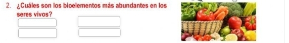 Cuáles son los bioelementos más abundantes en los 
seres vivos?