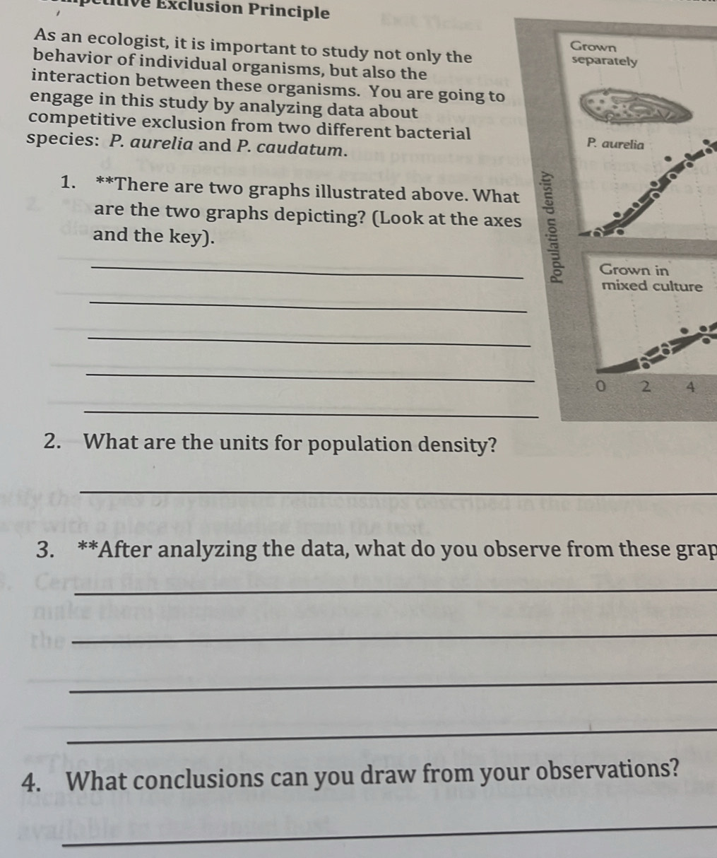 Éttive Éxclusion Principle 
Grown 
As an ecologist, it is important to study not only the separately 
behavior of individual organisms, but also the 
interaction between these organisms. You are going to 
engage in this study by analyzing data about 
competitive exclusion from two different bacterial 
species: P. aurelia and P. caudatum. 
1. **There are two graphs illustrated above. What 
_are the two graphs depicting? (Look at the axes 5
and the key). 
Grown in 
_ 
_ 
_ 
_ 
2. What are the units for population density? 
_ 
3. **After analyzing the data, what do you observe from these grap 
_ 
_ 
_ 
_ 
4. What conclusions can you draw from your observations? 
_