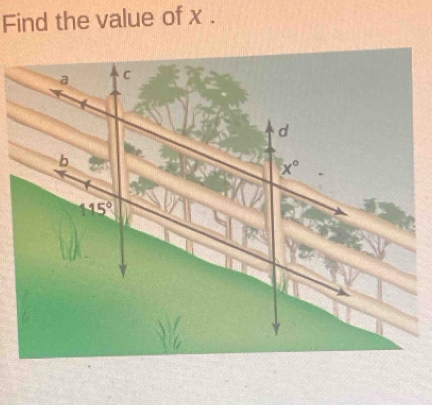 Find the value of x.
a C
d
b 80°
x°
15°