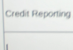 Credit Reporting