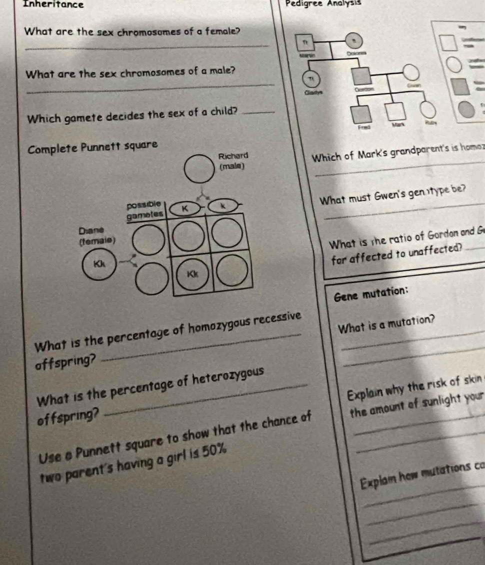 Inheritance Pedigree Analysis 
What are the sex chromosomes of a female? 
_ 
_ 
What are the sex chromosomes of a male? 
I 
Which gamete decides the sex of a child?_ 
Complete Punnett square 
Which of Mark's grandparent's is homoz 
What must Gwen's gen )type be? 
What is the ratio of Gordon and G 
for affected to unaffected? 
Gene mutation: 
What is the percentage of homozygous recessive 
offspring? _What is a mutation? 
What is the percentage of heterozygous 
Explain why the risk of skin 
offspring? 
Use a Punnett square to show that the chance of the amount of sunlight your . 
_ 
two parent's having a girl is 50%
Explai how mutations co 
_ 
_