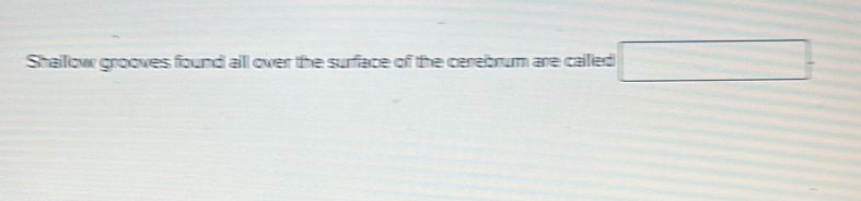 Shallow grooves found all over the surface of the cerebrum are called □