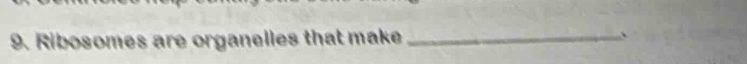 Ribosomes are organelles that make _`