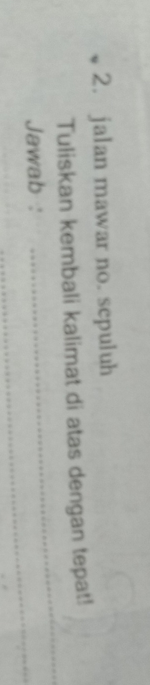 jalan mawar no. sepuluh 
_ 
Tuliskan kembali kalimat di atas dengan tepat! 
_ 
Jawab :