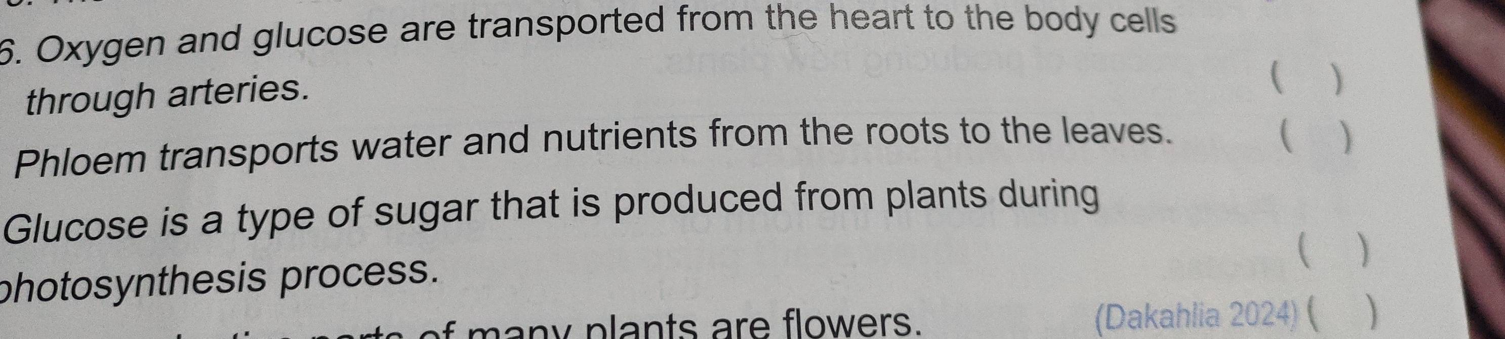 Oxygen and glucose are transported from the heart to the body cells 
through arteries. 
( ) 
Phloem transports water and nutrients from the roots to the leaves. 
( 
Glucose is a type of sugar that is produced from plants during 
 
photosynthesis process. 
f many plants are flowers. (Dakahlia 2024) (