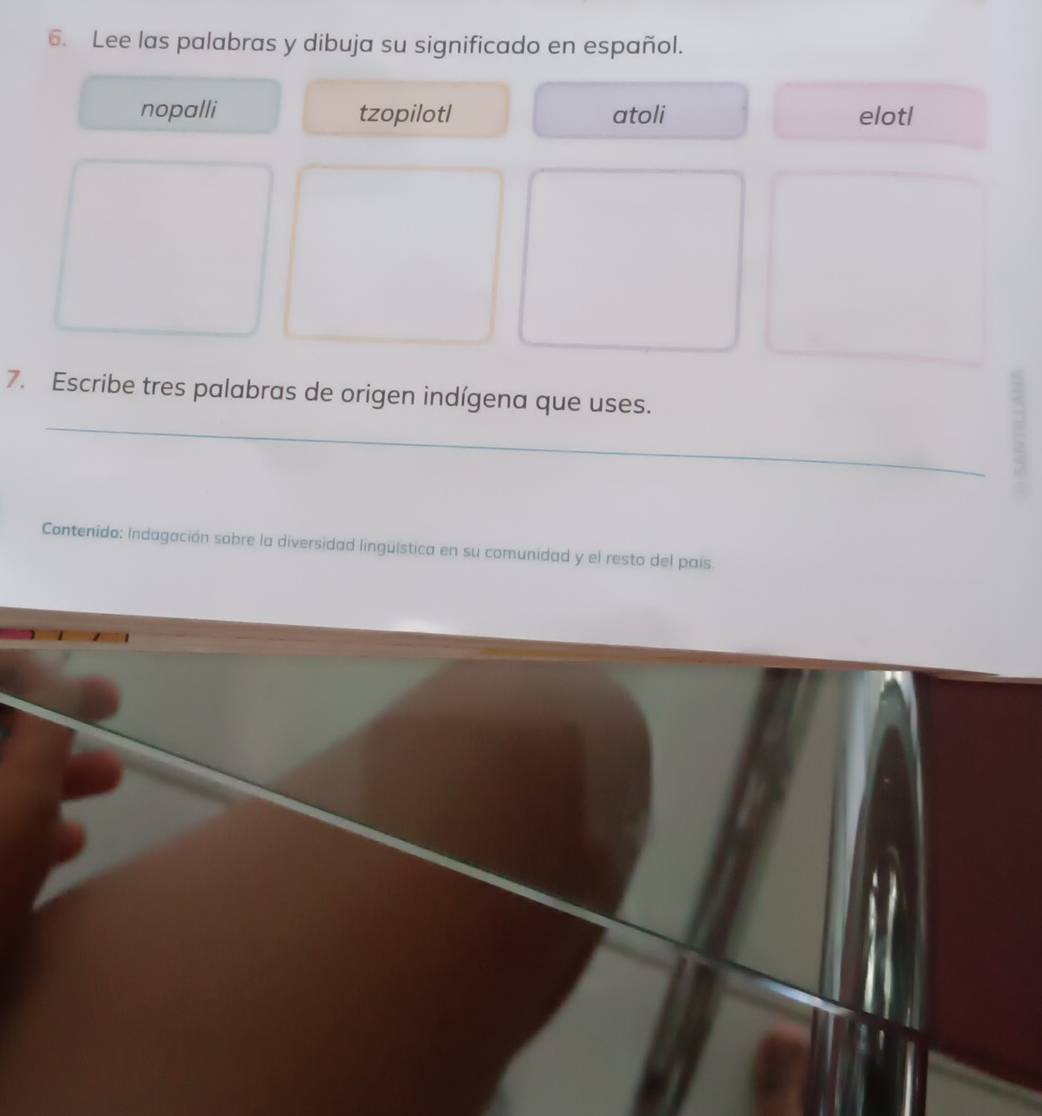 Lee las palabras y dibuja su significado en español.
nopalli tzopilotl atoli elotl
_
7. Escribe tres palabras de origen indígena que uses.
Contenido: Indagación sobre la diversidad linguística en su comunidad y el resto del país