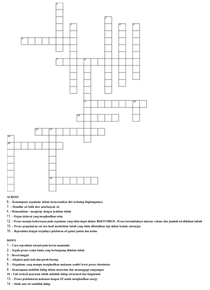 14 
15 
AC 
6. : 
7. : 
9. : 
11. : Organ ekskresi yang menghasilkan urine 
12. : Proses menuju kedewasaan pada organisme yang tidak dapat diukur BERTUMBUH : Proses bertambahnya ukuran, volume dan jumlah sel didalam tubuh 
15. : Proses pengeluaran zat sisa hasil metabolism tubuh yang tidak dibutuhkan lagi dalam bentuk cairan/gas 
16. : Reproduksi dengan terjadinya peleburan sel gamet jantan dan betina 
DOWN 
1. : Cara reproduksi seksual pada hewan mammalia 
2. : Segala proses reaksi kimia yang berlangsung didalam tubuh 
3. : Bersel tunggal 
4. : Adaptasi pada kaki dan paruh burung 
5. : Organisme yang mampu menghasilkan makanan sendiri lewat proses fotosintesis 
8. : Kemempuan makhluk hidup dalam menerima dan menanggapi rangsangan 
10. : Unit terkecil penyusun tubuh makhluk hidup (structural dan fungsional) 
13. : Proses pembakaran makanan dengan O2 untuk menghasilkan energy 
14. : Salah satu ciri makhluk hidup