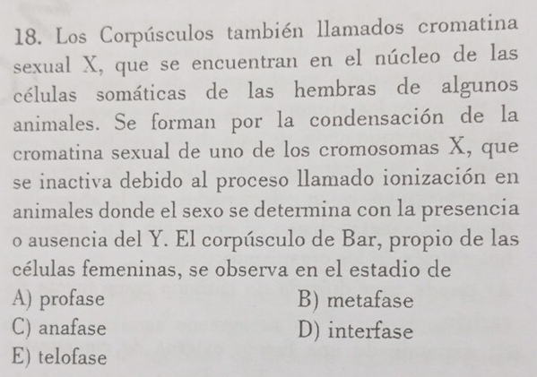 Los Corpúsculos también llamados cromatina
sexual X, que se encuentran en el núcleo de las
células somáticas de las hembras de algunos
animales. Se forman por la condensación de la
cromatina sexual de uno de los cromosomas X, que
se inactiva debido al proceso llamado ionización en
animales donde el sexo se determina con la presencia
o ausencia del Y. El corpúsculo de Bar, propio de las
células femeninas, se observa en el estadio de
A) profase B) metafase
C) anafase D) interfase
E) telofase