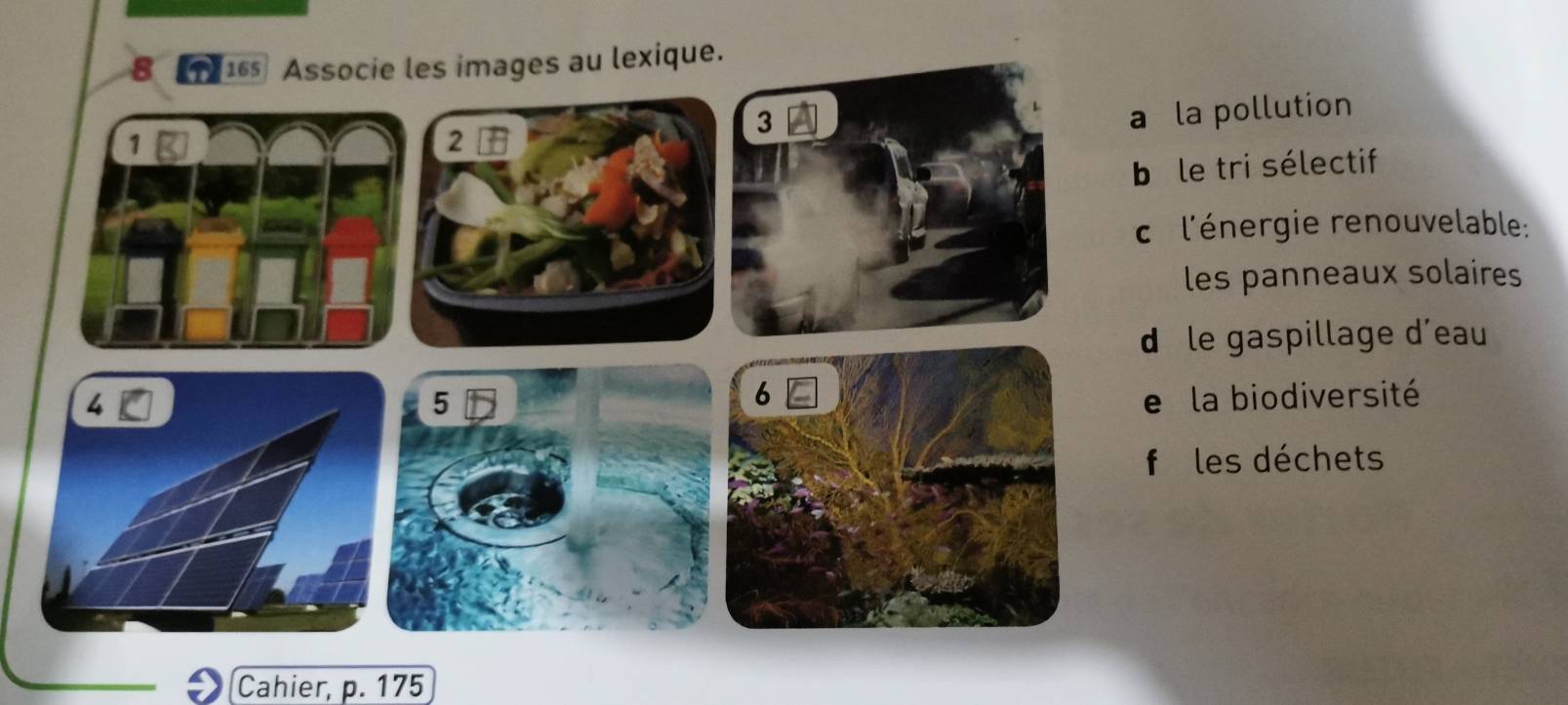 8 [1 165 Associe les images au lexique.
3
a la pollution
2
b le tri sélectif
c l'énergie renouvelable:
les panneaux solaires
d le gaspillage d’eau
5
6 e la biodiversité
files déchets
Cahier, p. 175