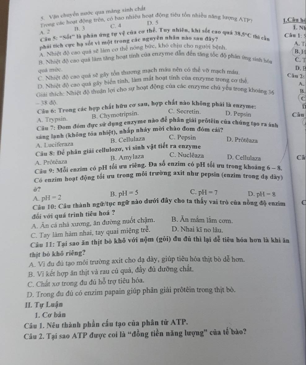 Vận chuyển nước qua màng sinh chất
Trong các hoạt động trên, có bao nhiêu hoạt động tiêu tốn nhiều năng lượng ATP? 1.Câu hỏ
1. Nh
A. 2 B. 3 C. 4 D. 5
Câu 5: “Sốt” là phản ứng tự vệ của cơ thể. Tuy nhiên, khi sốt cao quá
phải tích cực hạ sốt vì một trong các nguyên nhân nào sau đây? 38,5°C thì cần Câu 1:s
A. T
A. Nhiệt độ cao quá sẽ làm cơ thể nóng bức, khó chịu cho người bệnh.
B. H
B. Nhiệt độ cao quá làm tăng hoạt tính của enzyme dẫn đến tăng tốc độ phản ímg sinh hóa C. T
quá mức.
D. P
C. Nhiệt độ cao quá sẽ gây tổn thương mạch máu nên có thể vỡ mạch máu.
Câu 2:
D. Nhiệt độ cao quá gây biến tính, làm mất hoạt tính của enzyme trong cơ thể.
A.
Giải thích: Nhiệt độ thuận lợi cho sự hoạt động của các enzyme chủ yếu trong khoảng 36 B.
C
- 38 độ.
Câu 6: Trong các hợp chất hữu cơ sau, hợp chất nào không phải là enzyme: D
A. Trypsin. B. Chymotripsin.
C. Secretin. D. Pepsin Câu
Câu 7: Đom đóm đực sử dụng enzyme nào để phân giải prôtêin của chúng tạo ra ánh
sáng lạnh (không tỏa nhiệt), nhấp nháy mời chào đom đóm cái?
A. Luciferaza B. Cellulaza C. Pepsin D. Prôtêaza
Câu 8: Dhat e phân giải cellulozơ, vi sinh vật tiết ra enzyme
A. Prôtêaza B. Amylaza C. Nuclêaza D. Cellulaza Câ
Câu 9: Mỗi enzim có pH tối ưu riêng. Đa số enzim có pH tối ưu trong khoảng 6-8.
Có enzim hoạt động tổi ưu trong môi trường axit như pepsin (enzim trong dạ dày)
ở?
B. pH=5
C.
A. pH=2 pH=7 D. pH=8
Câu 10: Câu thành ngữ/tục ngữ nào dưới đây cho ta thấy vai trò của nồng độ enzim C
đối với quá trình tiêu hoá ?
A. Ăn cá nhả xương, ăn đường nuốt chậm. B. Ăn mắm lắm cơm.
C. Tay làm hàm nhai, tay quai miệng trễ. D. Nhai kĩ no lâu.
Câu 11: Tại sao ăn thịt bò khô với nộm (gỏi) đu đủ thì lại dễ tiêu hóa hơn là khi ăn
thịt bò khô riêng?
A. Vì đu đủ tạo môi trường axit cho dạ dày, giúp tiêu hóa thịt bò dễ hơn.
B. Vì kết hợp ăn thịt và rau củ quả, đầy đủ dưỡng chất.
C. Chất xơ trong đu đủ hỗ trợ tiêu hóa.
D. Trong đu đủ có enzim papain giúp phân giải prôtêin trong thịt bò.
II. Tự Luận
1. Cơ bản
Câu 1. Nêu thành phần cấu tạo của phân tử ATP.
Câu 2. Tại sao ATP được coi là “đồng tiền năng lượng” của tế bào?