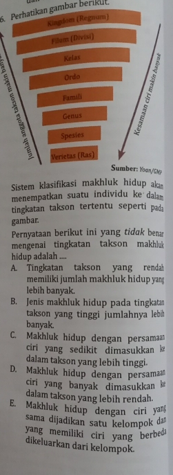 Perhatikan gambar berikut.
Kingdom (Regnum)
Filum (Divisi)
Kelas
Ordo
Genus
Famili
Spesies
Verietas (Ras)
Sumber: Yoan/GMp
Sistem klasifikasi makhluk hidup ak
menempatkan suatu individu ke dalam
tingkatan takson tertentu seperti pada
gambar.
Pernyataan berikut ini yang tidak benar
mengenai tingkatan takson makhluk
hidup adalah ....
A. Tingkatan takson yang renda
memiliki jumlah makhluk hidup yang
lebih banyak.
B. Jenis makhluk hidup pada tingkatan
takson yang tinggi jumlahnya leb 
banyak.
C. Makhluk hidup dengan persamaan
ciri yang sedikit dimasukkan 
dalam takson yang lebih tinggi.
D. Makhluk hidup dengan persamaa
ciri yang banyak dimasukkan k
dalam takson yang lebih rendah.
E. Makhluk hidup dengan ciri yan
sama dijadikan satu kelompok da
yang memiliki ciri yang berbed .
dikeluarkan dari kelompok.