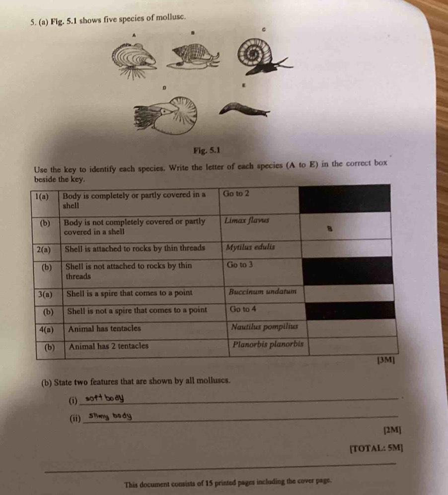 Fig. 5.1 shows five species of mollusc.
C
A
D
E
Fig. 5.1
Use the key to identify each species. Write the letter of each species (A to E) in the correct box
(b) State two features that are shown by all molluscs.
(i)
_.
(ii)
_
[2M]
[TOTAL: 5M]
_
This document consists of 15 printed pages including the cover page.