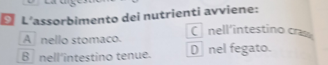 L'assorbimento dei nutrienti avviene:
C nell'intestino cras
A nello stomaco.
B nell'intestino tenue.
D nel fegato.