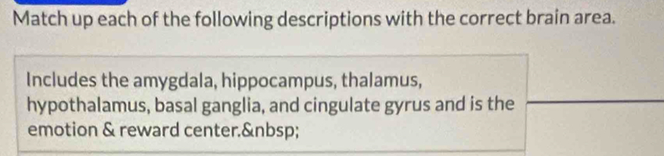 Match up each of the following descriptions with the correct brain area. 
Includes the amygdala, hippocampus, thalamus, 
hypothalamus, basal ganglia, and cingulate gyrus and is the 
emotion & reward center.