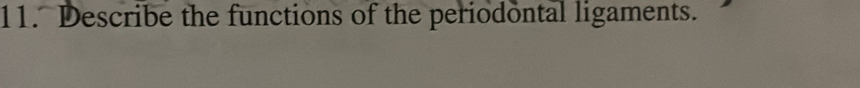 Describe the functions of the periodontal ligaments.