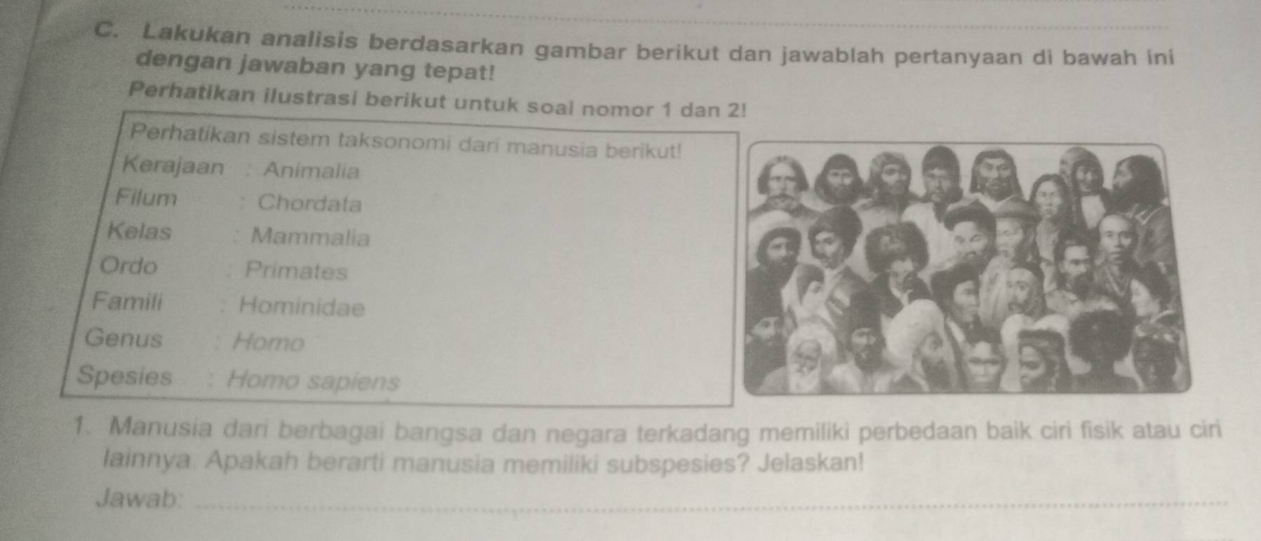 Lakukan analisis berdasarkan gambar berikut dan jawablah pertanyaan di bawah ini 
dengan jawaban yang tepat! 
Perhatikan ilustrasi berikut untuk soal nomor 1 dan 2! 
Perhatikan sistem taksonomi dari manusia berikut! 
Kerajaan : Animalia 
Filum Chordata 
Kelas Mammalia 
Ordo Primates 
Famili Hominidae 
Genus Homo 
Spesies Homo sapiens 
1. Manusia dari berbagai bangsa dan negara terkadang memiliki perbedaan baik ciri fisik atau ciri 
lainnya. Apakah berarti manusia memiliki subspesies? Jelaskan! 
Jawab:_