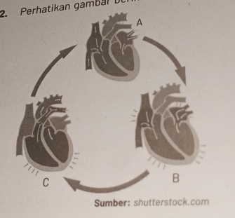 Perhatikan gambal D 
Sumber: shutt