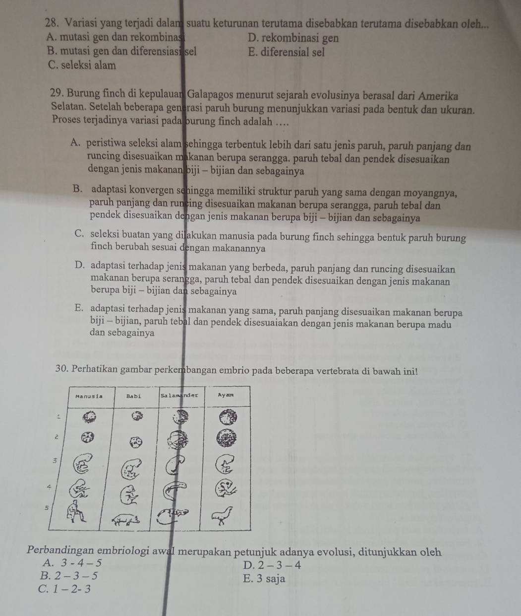 Variasi yang terjadi dalam suatu keturunan terutama disebabkan terutama disebabkan oleh...
A. mutasi gen dan rekombinas D. rekombinasi gen
B. mutasi gen dan diferensiasi sel E. diferensial sel
C. seleksi alam
29. Burung finch di kepulauan Galapagos menurut sejarah evolusinya berasal dari Amerika
Selatan. Setelah beberapa generasi paruh burung menunjukkan variasi pada bentuk dan ukuran.
Proses terjadinya variasi pada burung finch adalah ….
A. peristiwa seleksi alam sehingga terbentuk lebih dari satu jenìs paruh, paruh panjang dan
runcing disesuaikan makanan berupa serangga. paruh tebal dan pendek disesuaikan
dengan jenis makanan biji - bijian dan sebagainya
B. adaptasi konvergen sehingga memiliki struktur paruh yang sama dengan moyangnya,
paruh panjang dan runcing disesuaikan makanan berupa serangga, paruh tebal dan
pendek disesuaikan dengan jenis makanan berupa biji - bijian dan sebagainya
C. seleksi buatan yang dilakukan manusia pada burung finch sehingga bentuk paruh burung
finch berubah sesuai dengan makanannya
D. adaptasi terhadap jenis makanan yang berbeda, paruh panjang dan runcing disesuaikan
makanan berupa serangga, paruh tebal dan pendek disesuaikan dengan jenis makanan
berupa biji - bijian dan sebagainya
E. adaptasi terhadap jenis makanan yang sama, paruh panjang disesuaikan makanan berupa
biji - bijian, paruh tebal dan pendek disesuaiakan dengan jenis makanan berupa madu
dan sebagainya
30. Perhatikan gambar perkembangan embrio pada beberapa vertebrata di bawah ini!
Perbandingan embriologi awal merupakan petunjuk adanya evolusi, ditunjukkan oleh
A. 3-4-5
D. 2-3-4
B. 2-3-5 E. 3 saja
C. 1-2-