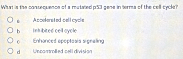 What is the consequence of a mutated p53 gene in terms of the cell cycle?
a Accelerated cell cycle
b Inhibited cell cycle
c Enhanced apoptosis signaling
d Uncontrolled cell division