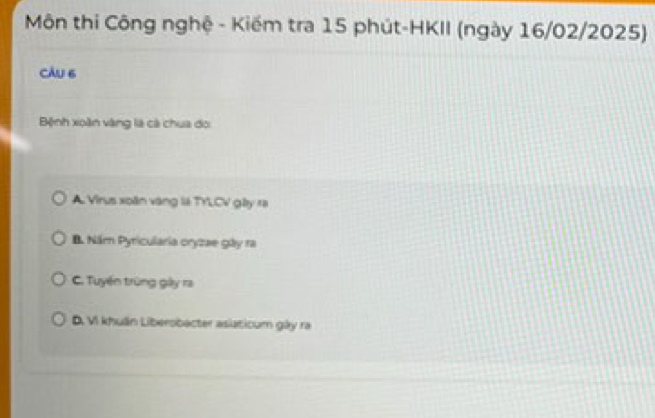 Môn thi Công nghệ - Kiếm tra 15 phút-HKII (ngày 16/02/2025)
càu 6
Bệnh xoàn vàng là cà chua đo
A. Virus xoàn vàng lá TYLCV gây ra
B. Năm Pyricularia oryzae gày ra
C. Tuyến trùng gày ra
D. Vi khuẩn Liberobacter aslaticum gày ra