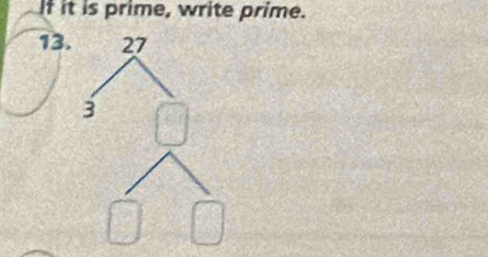 If it is prime, write prime.
13