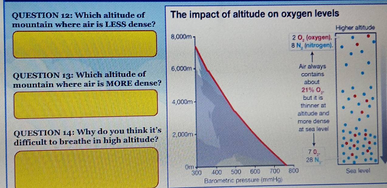 Which altitude of The impact of altitude on oxygen levels
mountain where air is LESS dense?
Higher altitude
8,000m 2O_2 (oxygen).
N_2 (nitrogen).
Air always
QUESTION 13: Which altitude of 6.000m contains
about
mountain where air is MORE dense? 21% O₂
but it is
4,000m
thinner at
altitude and
more dense
at sea level
QUESTION 14: Why do you think it’s 2,000m
difficult to breathe in high altitude?
7 0
28 N
Or
300 400 500 600 7à0 800 Sea level
Barometric pressure (mmHg)