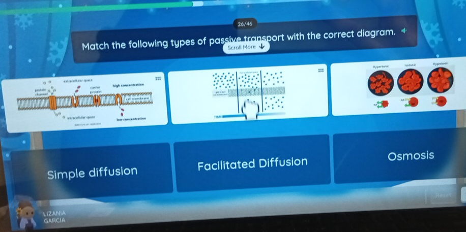 26/46
Match the following types of passive transport with the correct diagram. +
Scroll More
Hypertonic itypotonic
Istrni
Simple diffusion Facilitated Diffusion Osmosis
LIZANIA
GARCIA