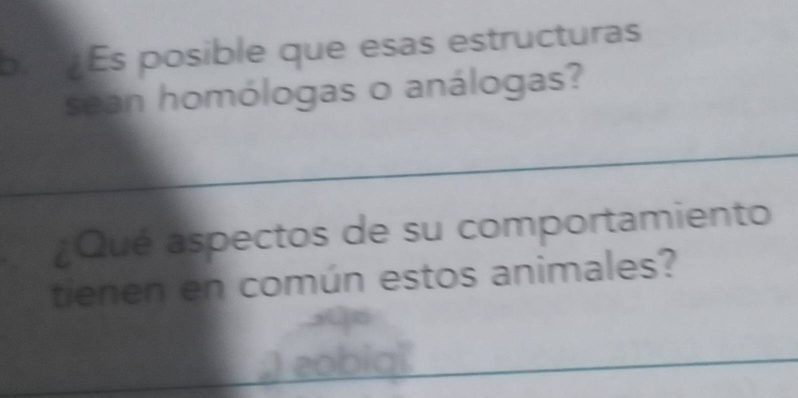 És posible que esas estructuras 
sean homólogas o análogas? 
_ 
¿Qué aspectos de su comportamiento 
tienen en común estos animales?