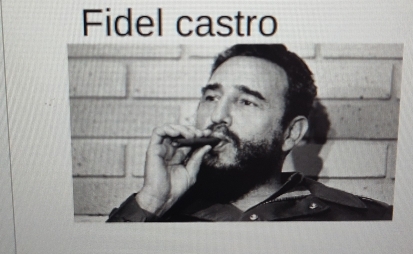 Fidel castro