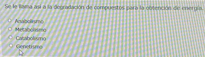 Se le llama así a la degradación de compuestos para la obtención de energía.
Anabolismo
Metabolismo
Catabolismo
Genetismo