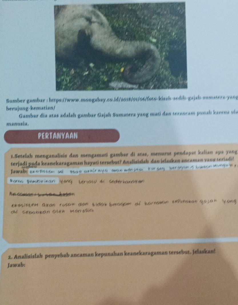 Sumber gambar sh-sumaters-yang 
berujung-kematian/ 
Gambar día atas adalah gambar Gajah Sumatera yang mati dan terancam punah karena ula 
manusia. 
PERTANYAAN 
1.Setelah menganalisis dan mengamati gambar di atas, menurut pendapat kalian apa yang 
terjadi paḍa keanekaragaman hayati tersebut? Analisislah dan islaskan ancaman vang teriadit 
a o 
Jawabs 
S o 
ketd 
s i d a s 
'le n M ó o s 
2. Analisislah penyebab ancaman kepunahan keanekaragaman tersebut. Jelaskan! 
Jawab: