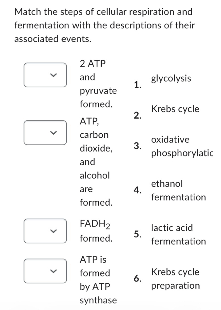 Solved: Match the steps of cellular respiration and fermentation with ...