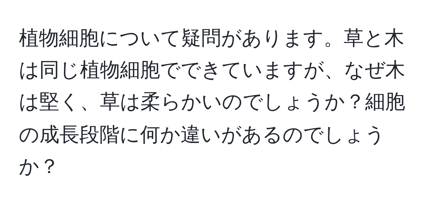 植物細胞について疑問があります。草と木は同じ植物細胞でできていますが、なぜ木は堅く、草は柔らかいのでしょうか？細胞の成長段階に何か違いがあるのでしょうか？